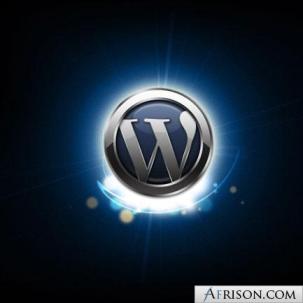 wordpress-logo-shine2